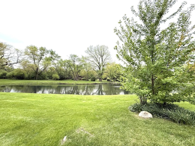 25 Lagoon Dr, Hawthorn Woods, IL 60047 - view of green lawn featuring a water view