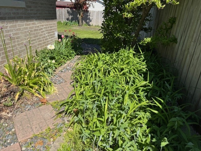 1841 Hawthorne Ave, Westchester, IL 60154 - view of yard