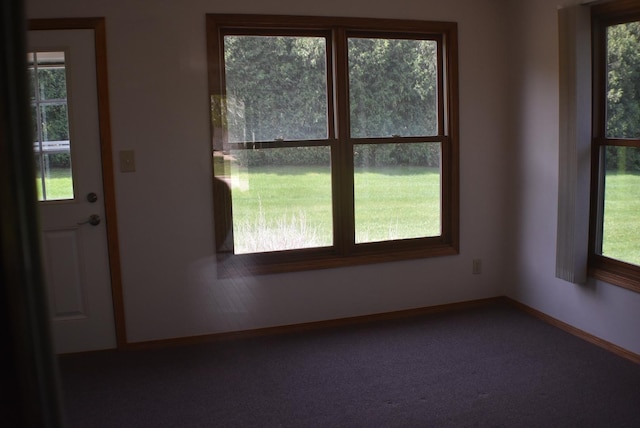 1925 W Mesa Dr Unit 1, Freeport, IL 61032 - carpeted spare room featuring healthy amount of natural light and baseboards
