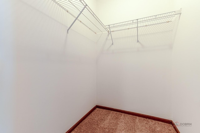 2442 Charleston Dr Unit 5, Schaumburg, IL 60193 - spacious closet featuring carpet flooring