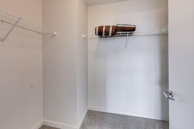 1160 S Michigan Ave Unit 1503, Chicago, IL 60605 - spacious closet with carpet flooring