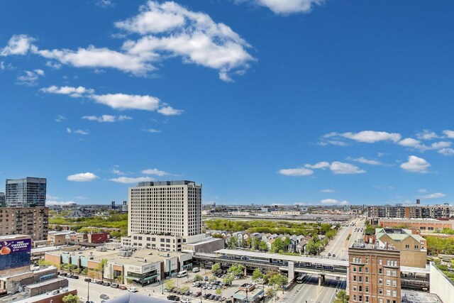 1160 S Michigan Ave Unit 1503, Chicago, IL 60605 - city view