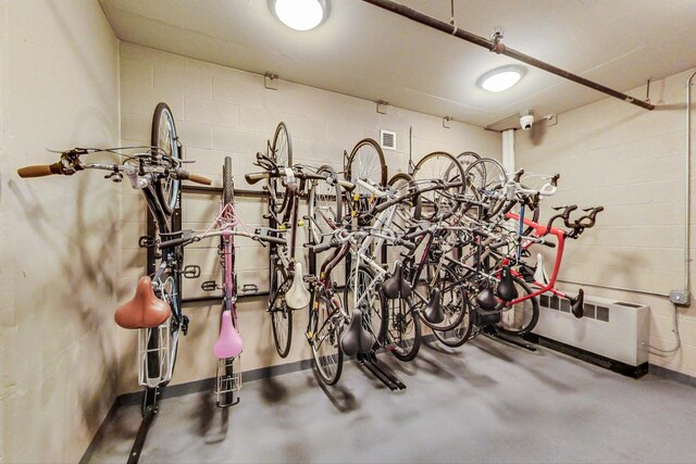 1160 S Michigan Ave Unit 1503, Chicago, IL 60605 - garage with bike storage and concrete block wall