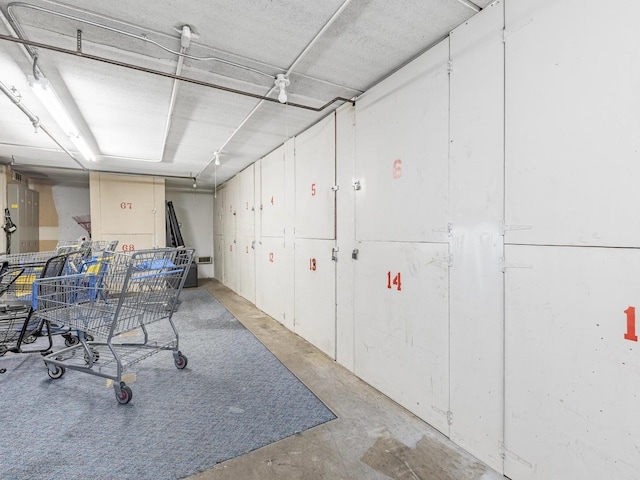 850 Des Plaines Ave Unit 207, Forest Park, IL 60130 - view of garage