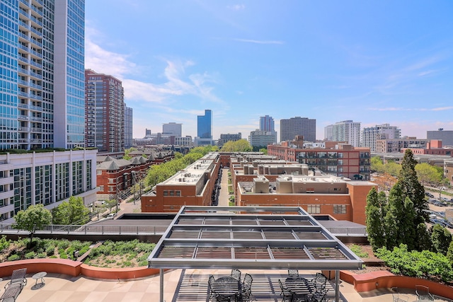 1600 S Prairie Ave Unit 810, Chicago, IL 60616 - view of city skyline