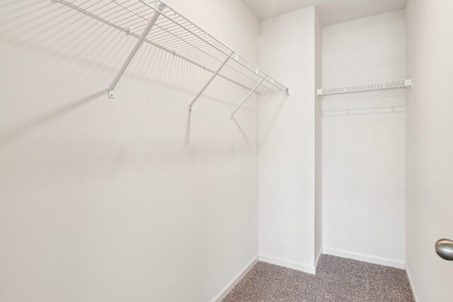 6335 Ulster Dr, Tinley Park, IL 60477 - walk in closet with carpet flooring