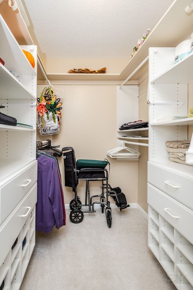 spacious closet with carpet flooring