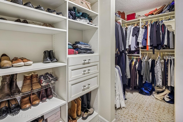 702 Waukegan Rd Unit A207, Glenview, IL 60025 - view of walk in closet