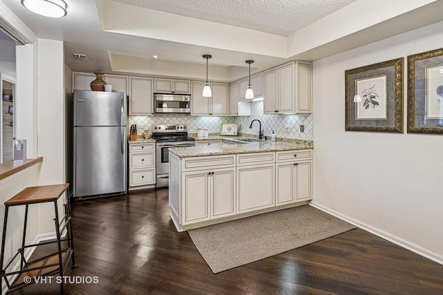 702 Waukegan Rd Unit A207, Glenview, IL 60025 - kitchen with stainless steel appliances, a sink, a peninsula, dark wood-type flooring, and backsplash