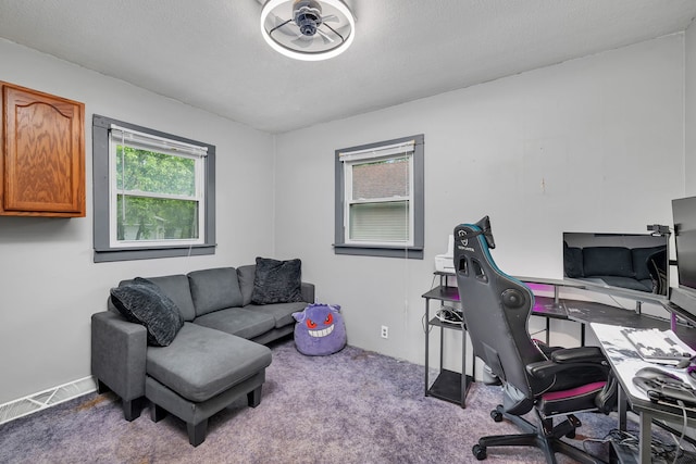 341 N Center St, Braidwood, IL 60408 - home office with carpet floors and baseboards