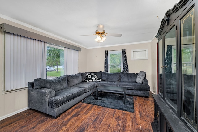 341 N Center St, Braidwood, IL 60408 - living area with dark wood finished floors, plenty of natural light, ceiling fan, ornamental molding, and baseboards