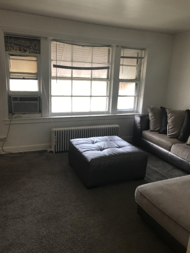 802 Bellwood Ave Unit 2S, Bellwood, IL 60104 - carpeted living area with radiator, cooling unit, and baseboards