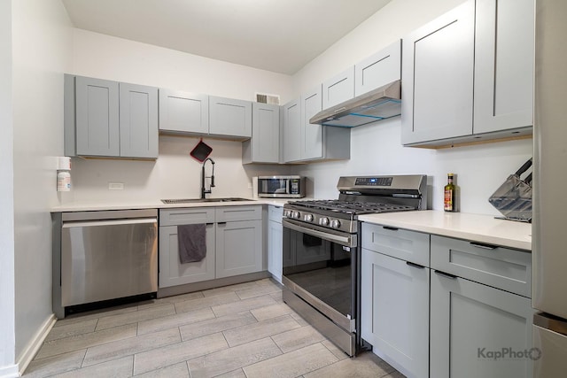 3021 S Michigan Ave Unit 102, Chicago, IL 60616 - kitchen with appliances with stainless steel finishes, under cabinet range hood, gray cabinets, a sink, and light countertops