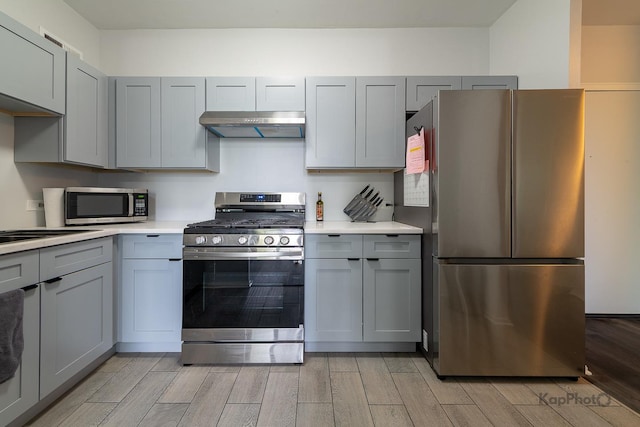 3021 S Michigan Ave Unit 102, Chicago, IL 60616 - kitchen with appliances with stainless steel finishes, under cabinet range hood, gray cabinets, and wood finish floors
