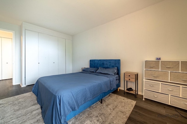3021 S Michigan Ave Unit 102, Chicago, IL 60616 - bedroom with dark wood-style flooring, a closet, and baseboards