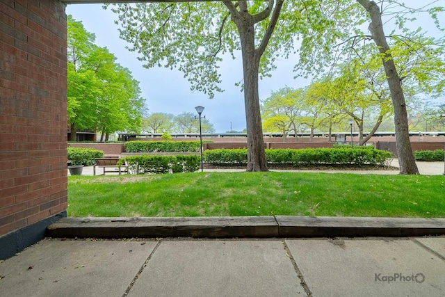 3021 S Michigan Ave Unit 102, Chicago, IL 60616 - view of yard