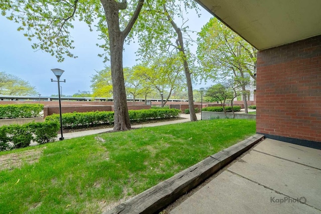 3021 S Michigan Ave Unit 102, Chicago, IL 60616 - view of yard