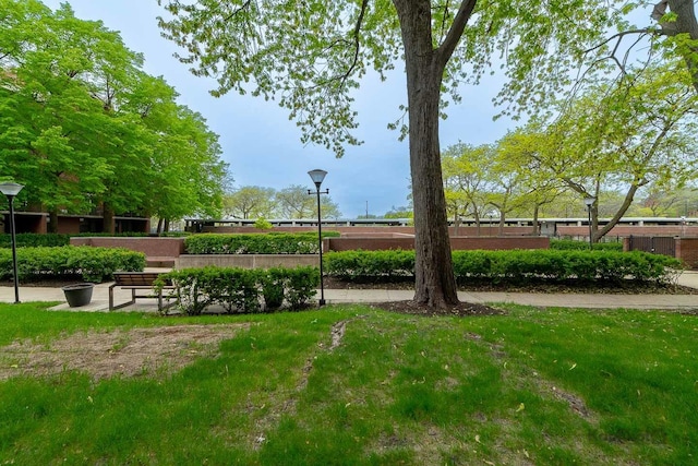 3021 S Michigan Ave Unit 102, Chicago, IL 60616 - view of property's community with fence