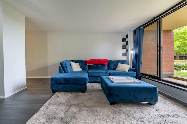 3021 S Michigan Ave Unit 102, Chicago, IL 60616 - living room with baseboards and wood finished floors