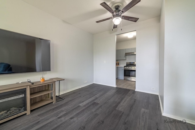 3021 S Michigan Ave Unit 102, Chicago, IL 60616 - living room featuring dark wood-style flooring, a ceiling fan, and baseboards