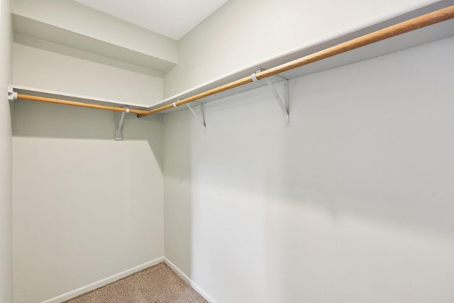 493 Mchenry Rd Unit 1B, Wheeling, IL 60090 - walk in closet with carpet
