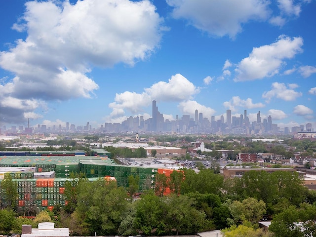 907 W 50th St, Chicago, IL 60609 - drone / aerial view of a skyline view