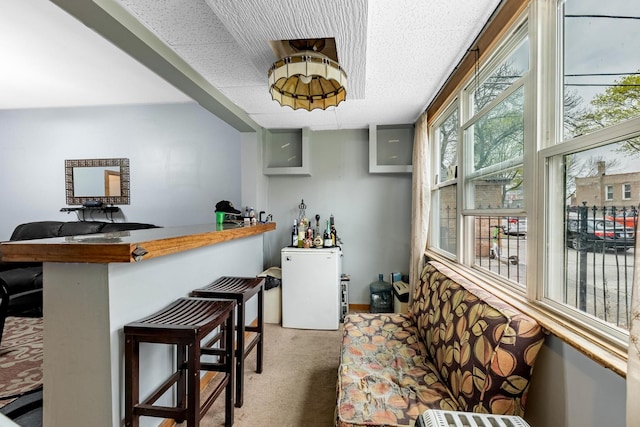 2814 W 40th St, Chicago, IL 60632 - indoor dry bar with carpet floors and refrigerator