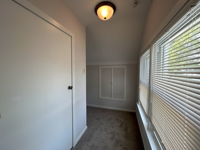 650 Enterprise St, Elgin, IL 60120 - hallway with carpet, baseboards, and lofted ceiling