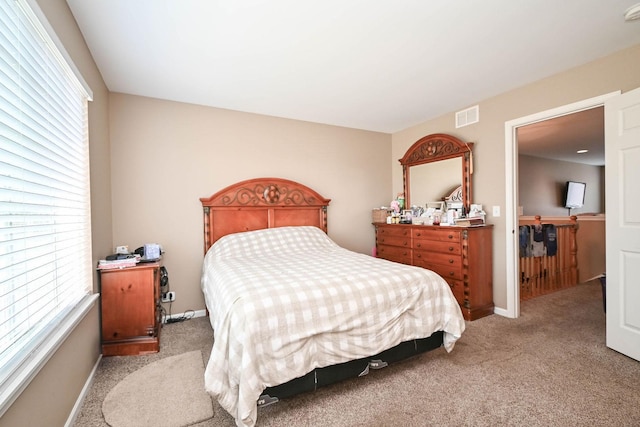 39735 N Paris Dr, Beach Park, IL 60083 - carpeted bedroom with multiple windows and baseboards