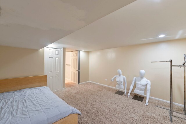 164 Wilcox Dr, Bartlett, IL 60103 - photo 39