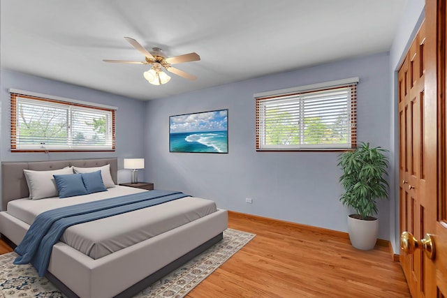 851 Munroe Cir, Des Plaines, IL 60016 - bedroom featuring multiple windows, light wood finished floors, and a closet