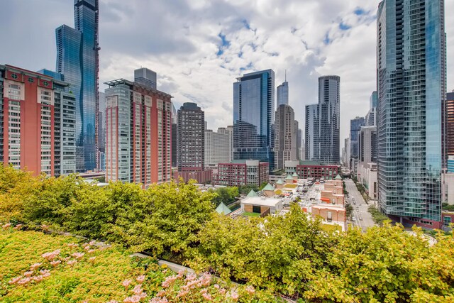 474 N Lake Shore Dr Unit 2012, Chicago, IL 60611 - view of city