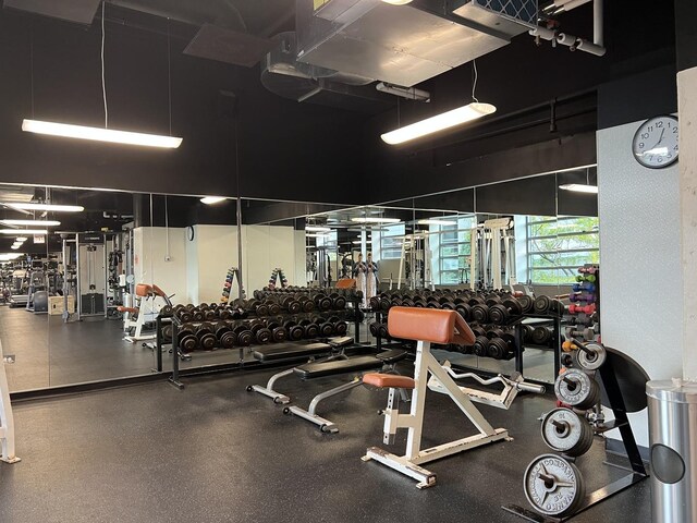 474 N Lake Shore Dr Unit 2012, Chicago, IL 60611 - view of gym