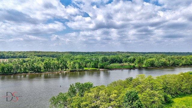 7 Pelican, Ottawa, IL 61350 - water view featuring a heavily wooded area
