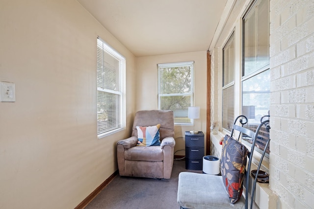1341 Englewood Ave, Joliet, IL 60432 - living area featuring carpet flooring and baseboards