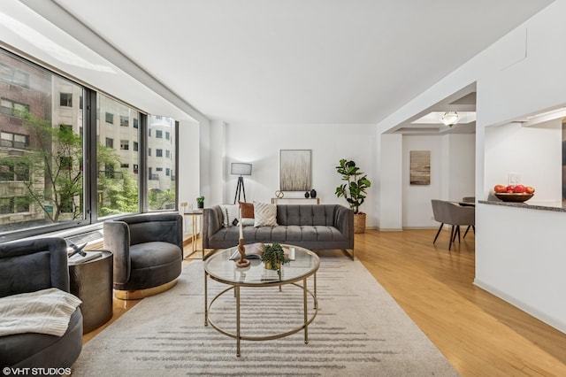 40 E Delaware Pl Unit 301, Chicago, IL 60611 - living room with light wood-style flooring and baseboards