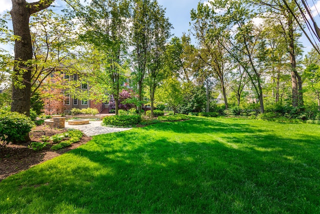 view of grassy yard