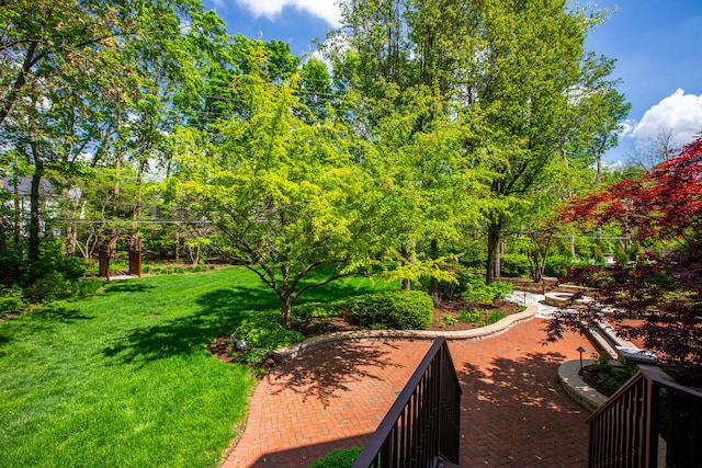 view of green lawn