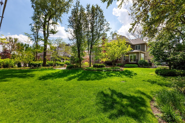 view of green lawn