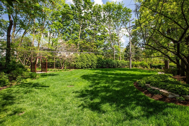 view of grassy yard