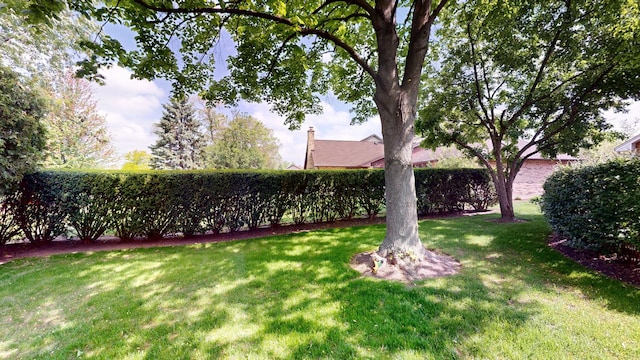 2030 N Oak Wood Dr, Arlington Heights, IL 60004 - view of green lawn