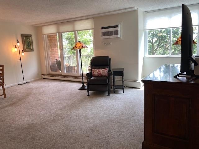 2211 S Highland Ave Unit 4B, Lombard, IL 60148 - carpeted dining area with a baseboard radiator and baseboards