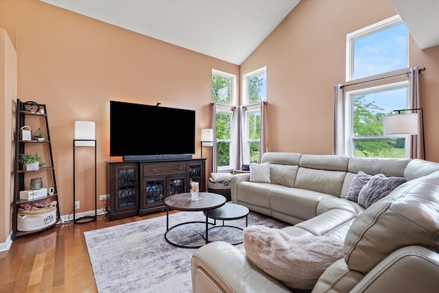 638 E Princeton Ct, Round Lake Beach, IL 60073 - living room featuring high vaulted ceiling and wood finished floors