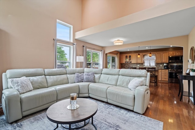 638 E Princeton Ct, Round Lake Beach, IL 60073 - living room featuring arched walkways, dark wood-style flooring, and a high ceiling