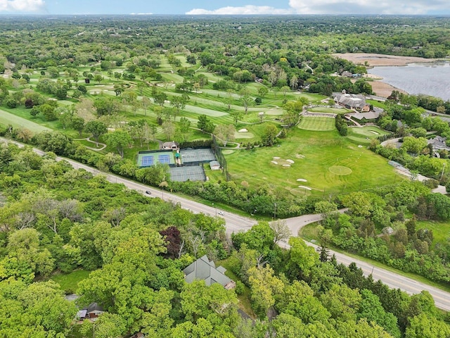 557 Signal Hill Rd, North Barrington, IL 60010 - bird's eye view of a heavily wooded area