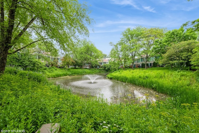 2525 Wellington Ct Unit 307, Evanston, IL 60201 - water view