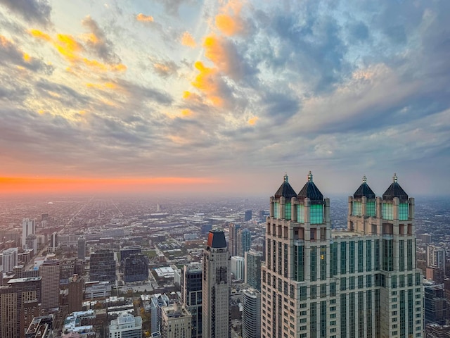 175 E Delaware Pl Unit 7511, Chicago, IL 60611 - city view