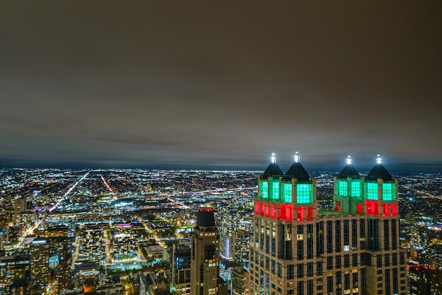 175 E Delaware Pl Unit 7511, Chicago, IL 60611 - city view