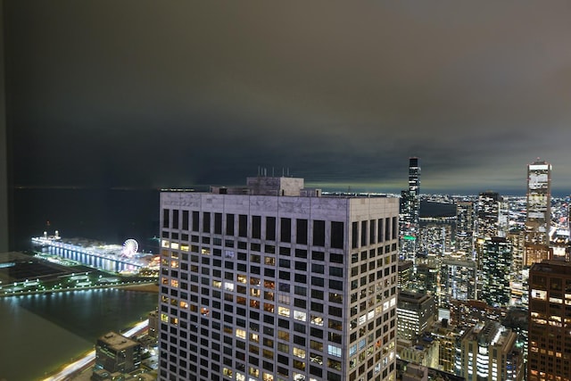 175 E Delaware Pl Unit 7511, Chicago, IL 60611 - view of city