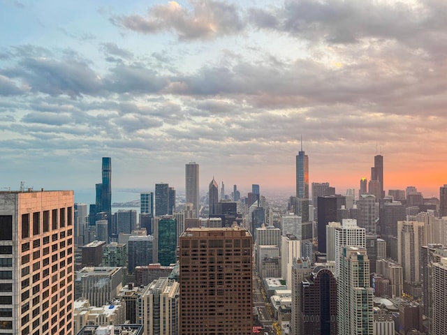 175 E Delaware Pl Unit 7511, Chicago, IL 60611 - city view